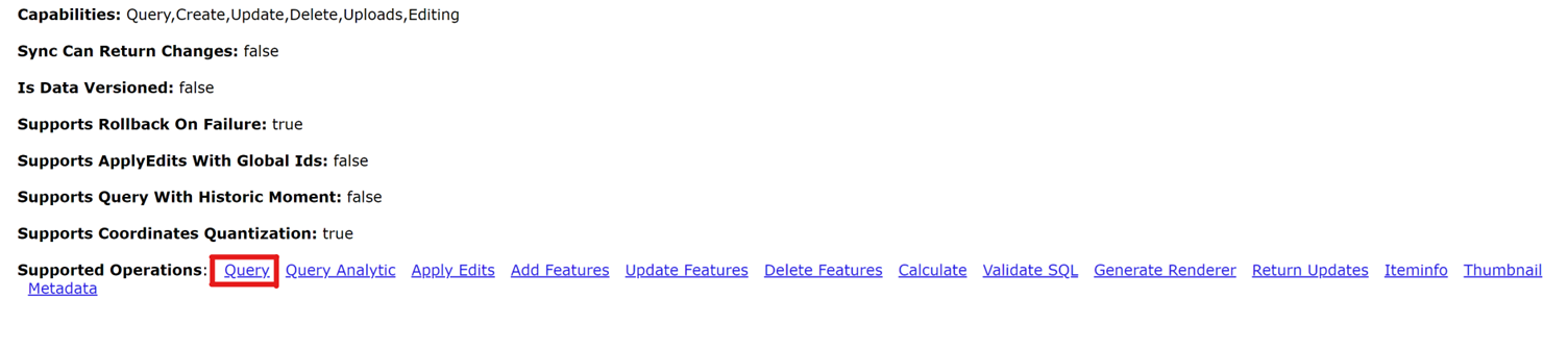 feature service layer query